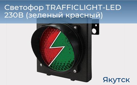 Светофор TRAFFICLIGHT-LED 230В (зеленый+красный), yakutsk.doorhan.ru