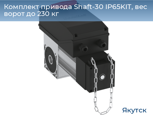 Комплект привода Shaft-30 IP65KIT, вес ворот до 230 кг, yakutsk.doorhan.ru