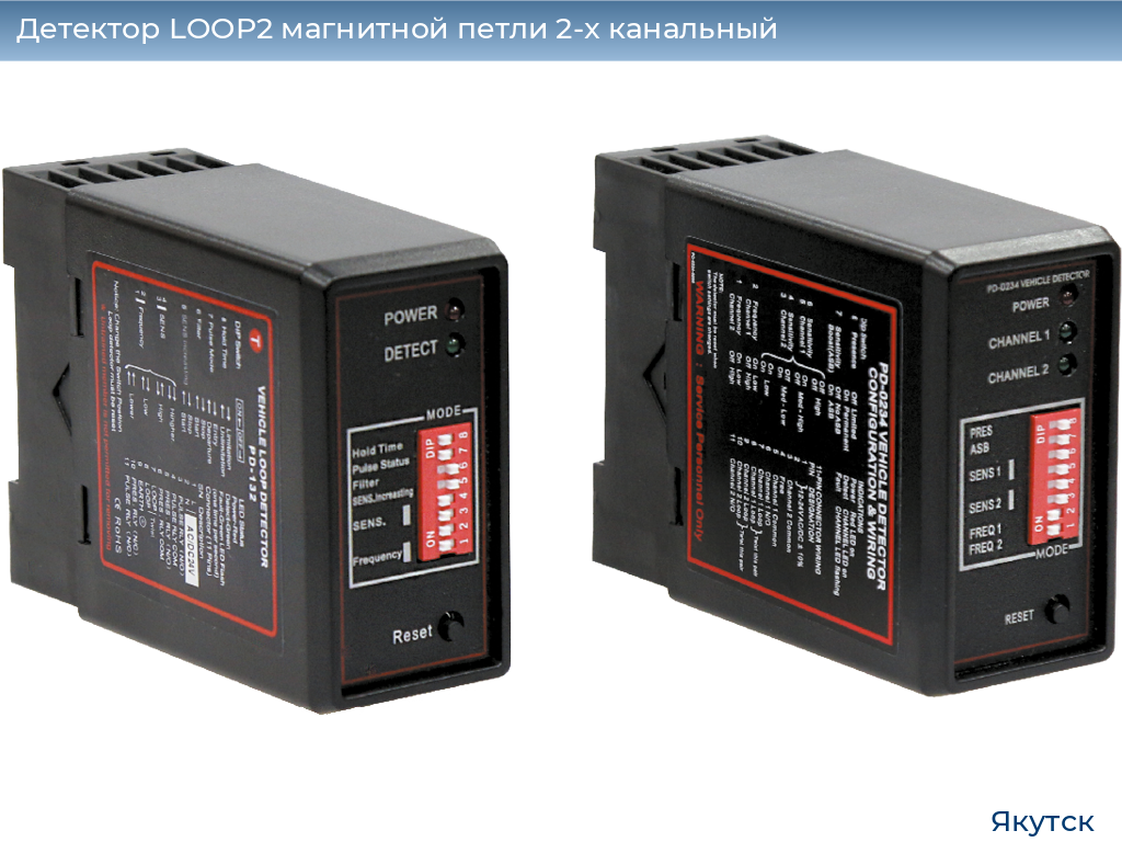 Детектор LOOP2 магнитной петли 2-x канальный, yakutsk.doorhan.ru