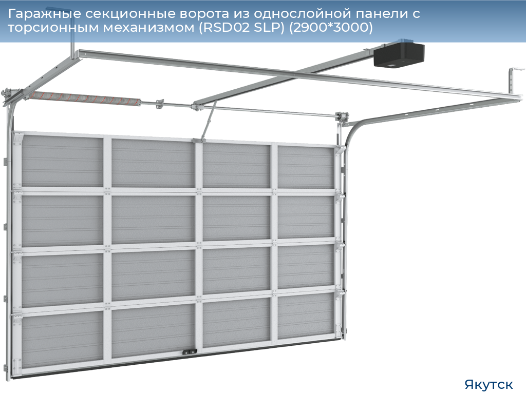 Гаражные секционные ворота из однослойной панели с торсионным механизмом (RSD02 SLP) (2900*3000), yakutsk.doorhan.ru