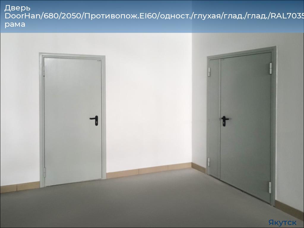 Дверь DoorHan/680/2050/Противопож.EI60/одност./глухая/глад./глад./RAL7035/лев./угл. рама, yakutsk.doorhan.ru