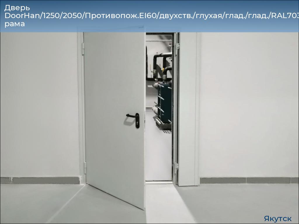 Дверь DoorHan/1250/2050/Противопож.EI60/двухств./глухая/глад./глад./RAL7035/лев./угл. рама, yakutsk.doorhan.ru