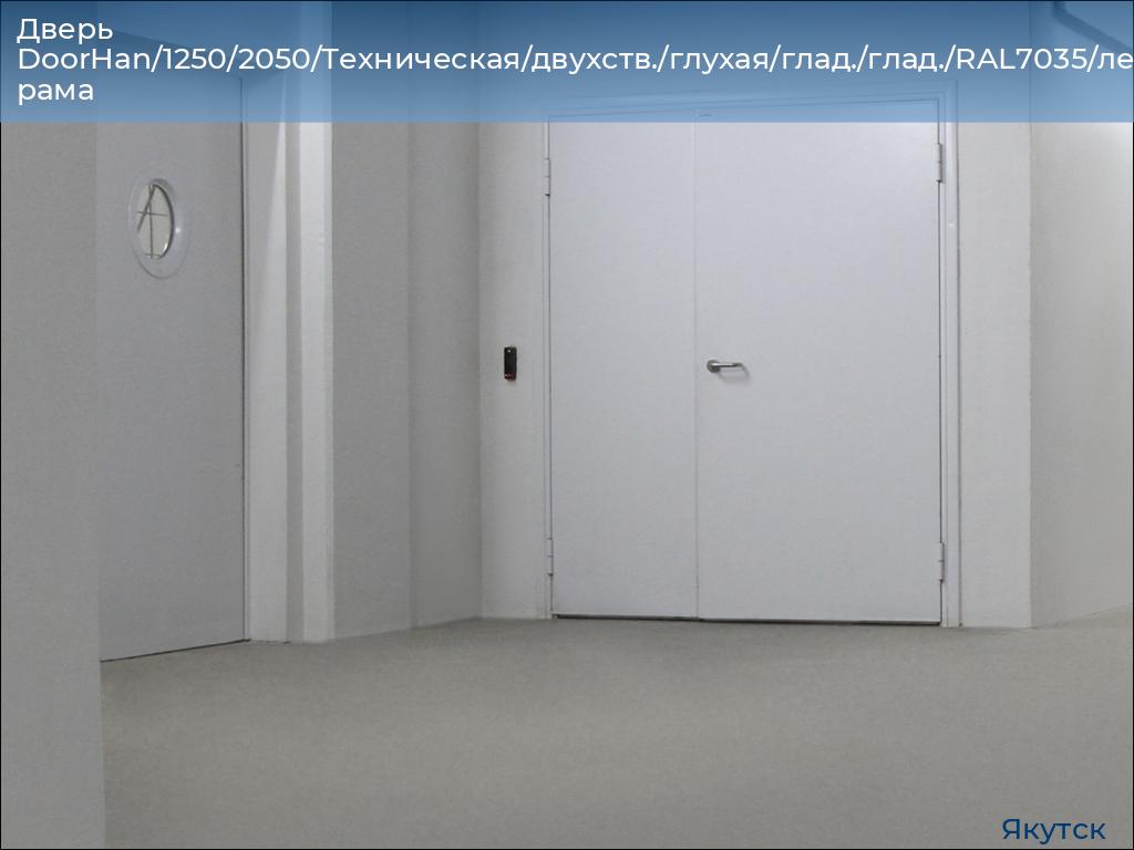 Дверь DoorHan/1250/2050/Техническая/двухств./глухая/глад./глад./RAL7035/лев./угл. рама, yakutsk.doorhan.ru