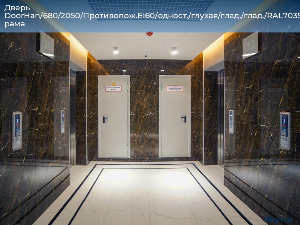 Дверь DoorHan/680/2050/Противопож.EI60/одност./глухая/глад./глад./RAL7035/лев./угл. рама, yakutsk.doorhan.ru