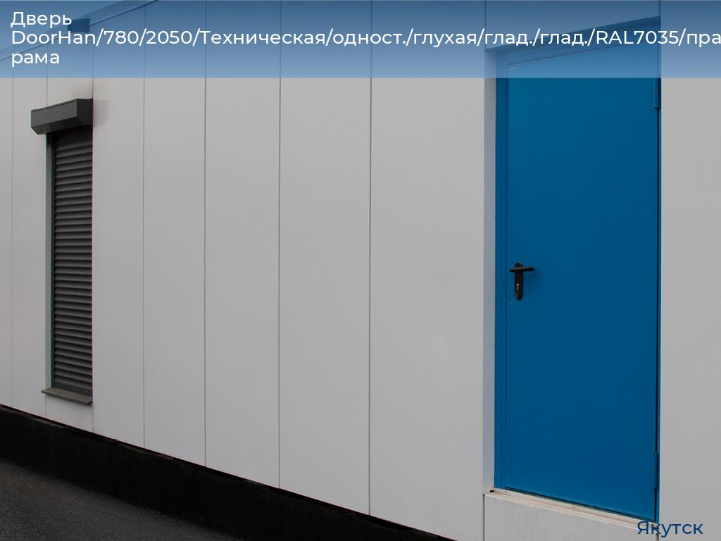 Дверь DoorHan/780/2050/Техническая/одност./глухая/глад./глад./RAL7035/прав./угл. рама, yakutsk.doorhan.ru