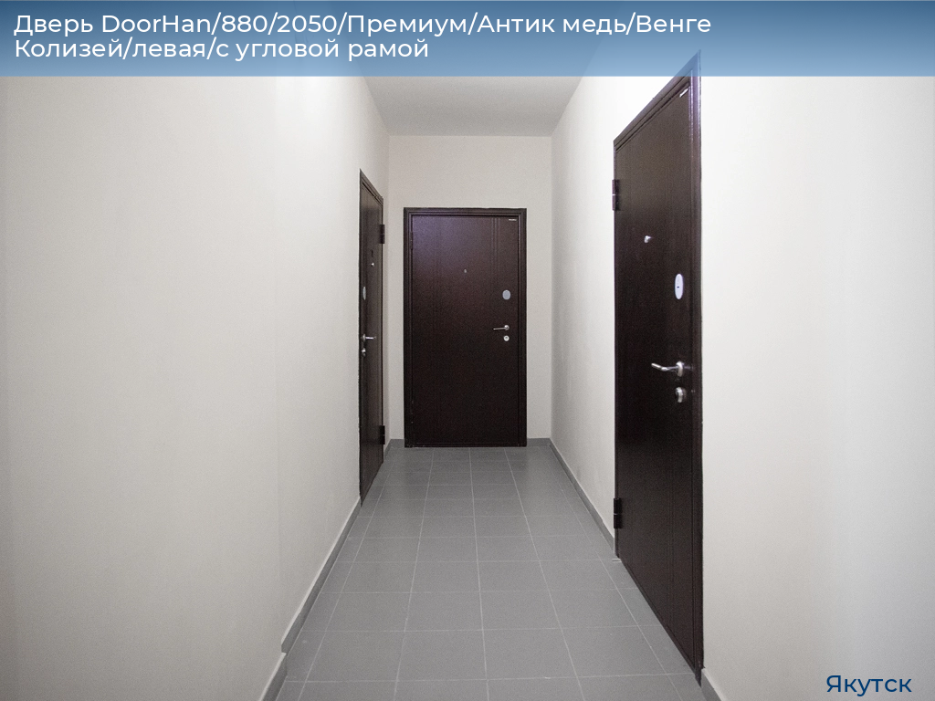Дверь DoorHan/880/2050/Премиум/Антик медь/Венге Колизей/левая/с угловой рамой, yakutsk.doorhan.ru