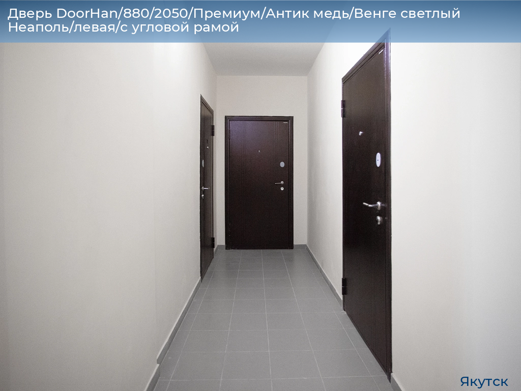 Дверь DoorHan/880/2050/Премиум/Антик медь/Венге светлый Неаполь/левая/с угловой рамой, yakutsk.doorhan.ru