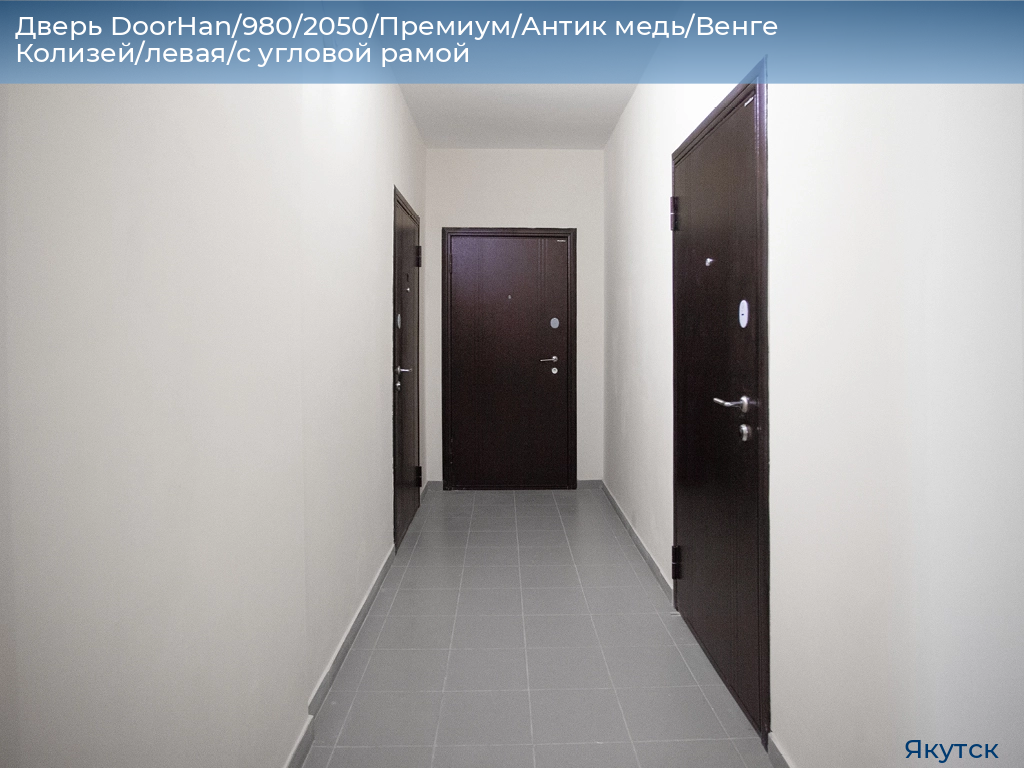 Дверь DoorHan/980/2050/Премиум/Антик медь/Венге Колизей/левая/с угловой рамой, yakutsk.doorhan.ru
